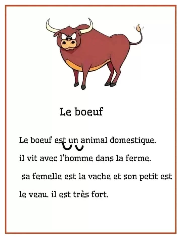 وصف حيوان بالفرنسية