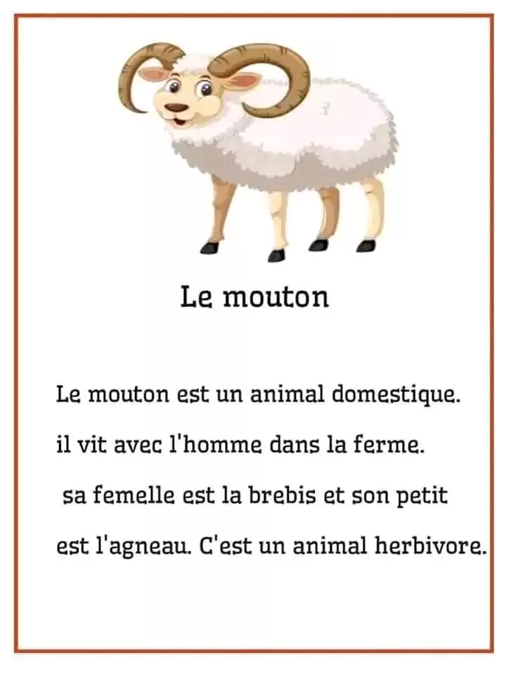وصف حيوان بالفرنسية