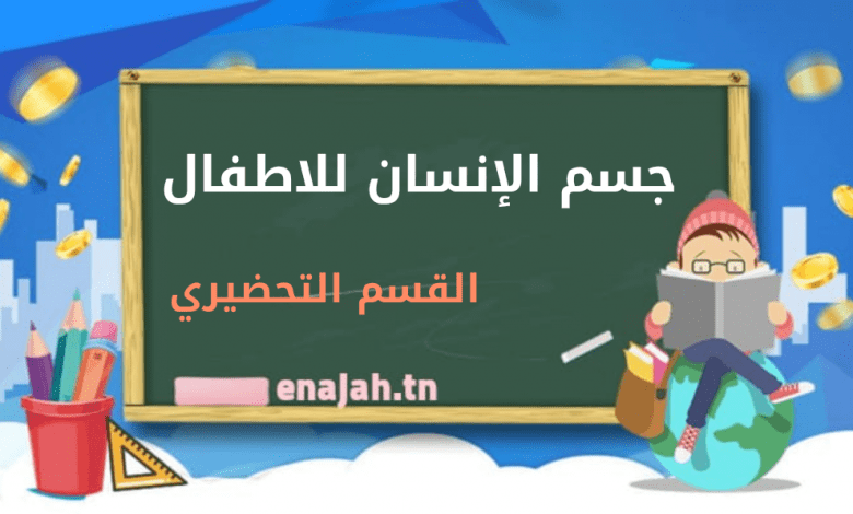 جسم الإنسان للاطفال