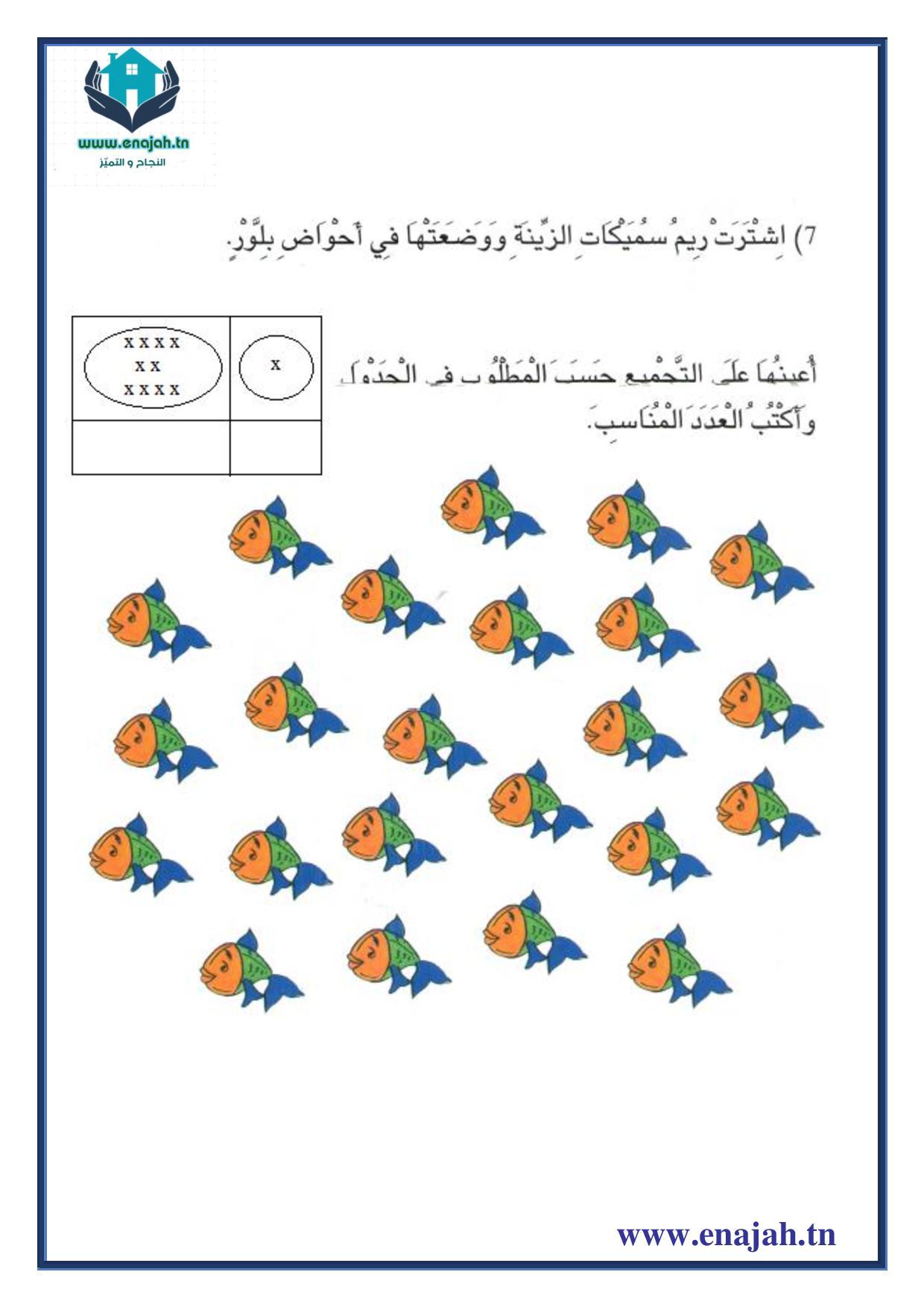 تمارين التجميع المنتظم سنة أولى إبتدائي - النجاح و التميز