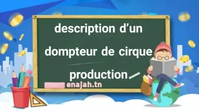 description d’un dompteur de cirque production